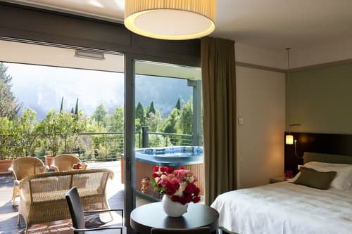 Du Lac et Du Parc Grand Resort, Room