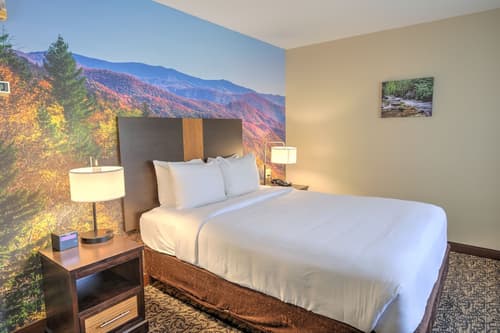 LeConte Hotel & Convention Center, an Ascend Collection Hotel, Room