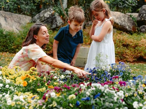 Mercure Gold Coast Resort, Miscellaneous