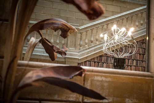 Catalonia Portal de l'Angel, Lobby lounge