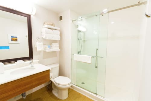 Hampton Inn by Hilton Vancouver-Airport/Richmond, Bathroom shower
