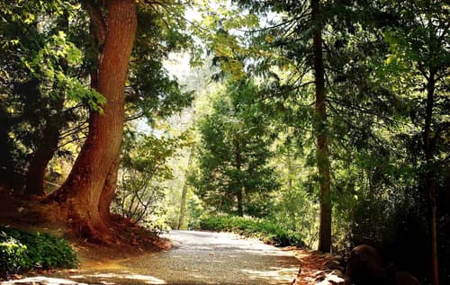 Dossier Hotel, Hiking