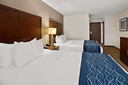 Comfort Inn Lacey - Olympia, Room