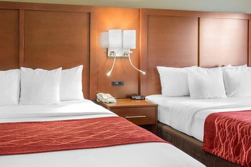 Comfort Inn and Suites San Francisco Airport North, Room