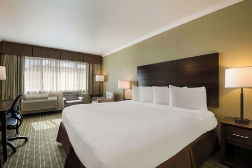 Best Western Holiday Hotel, Room