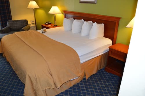 Quality Inn Savannah Midtown, Room