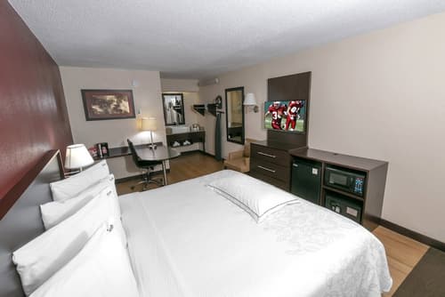 Red Roof Inn PLUS+ St Louis - Forest Park/ Hampton Ave , Room