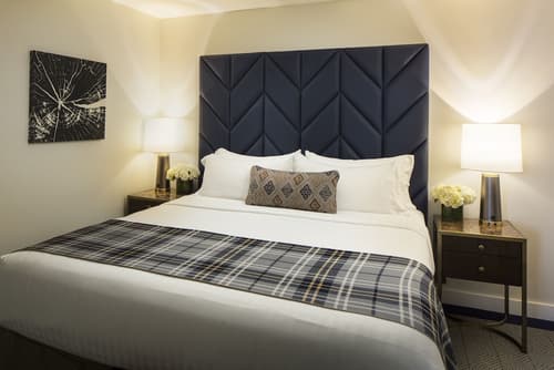 Hotel Indigo Boston Garden by IHG, Room