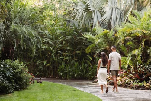 Catamaran Resort and Spa, Room