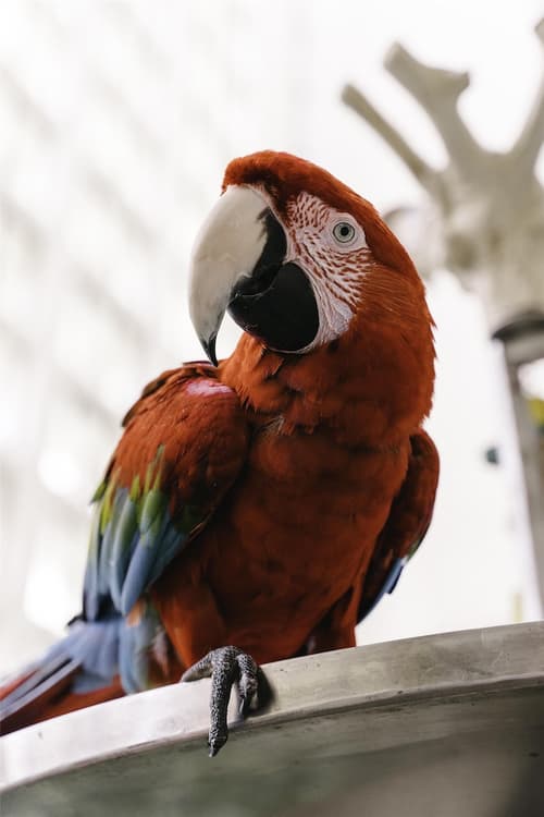 Hyatt Regency Grand Cypress, Lobby
