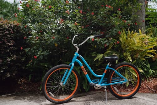 Hyatt Regency Grand Cypress, Bicycling