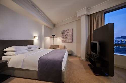 Hyatt Regency Belgrade, Room