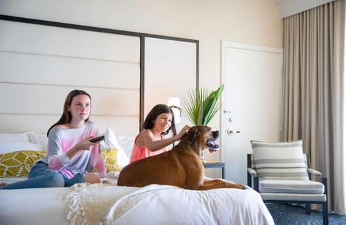 San Diego Mission Bay Resort, Room