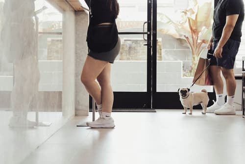 The Dixie Hollywood, Reception