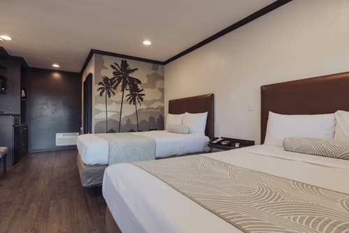 The Dixie Hollywood, Primary image