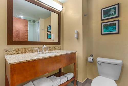 Comfort Suites Tallahassee Capitol - University Area, Room