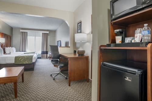 Comfort Suites Tallahassee Capitol - University Area, Room