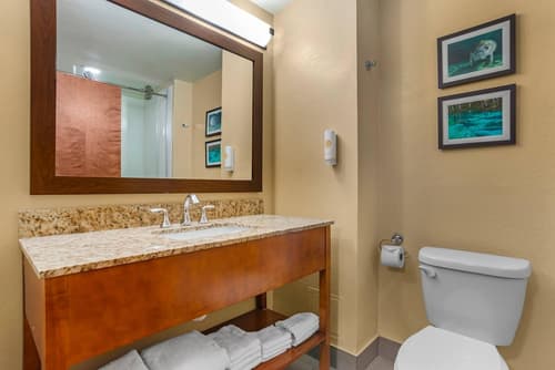 Comfort Suites Tallahassee Capitol - University Area, Room