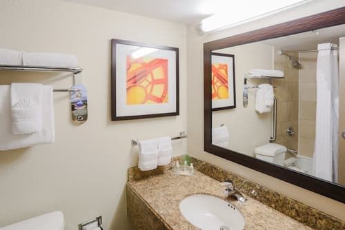 Holiday Inn Austin Midtown by IHG, Bathroom