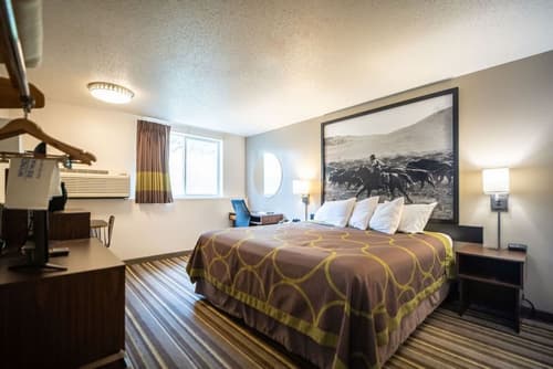 Super 8 by Wyndham Custer/Crazy Horse Area, Room