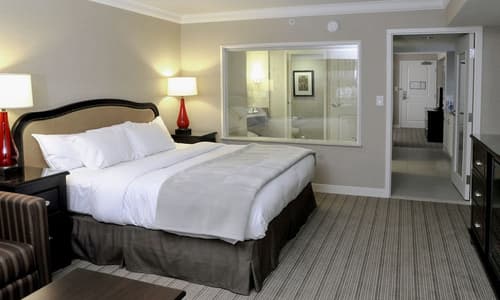 Hilton Niagara Falls/Fallsview Hotel & Suites, Room