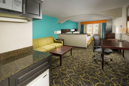 Holiday Inn Express & Suites DFW - Grapevine by IHG, Room