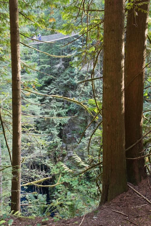 Holiday Inn Hotel & Suites North Vancouver by IHG, Property amenity