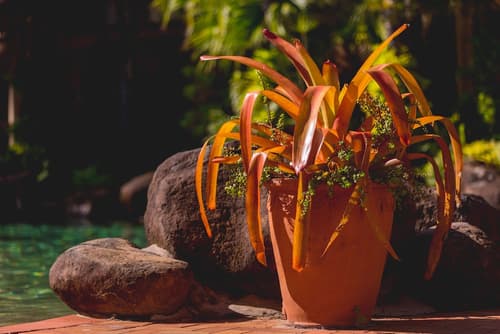Palm Royale Cairns, Lobby