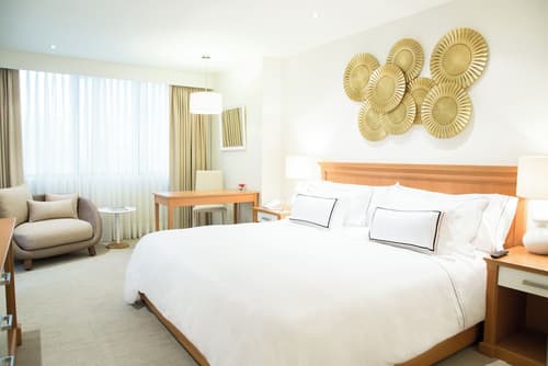 Melia Lima, Primary image