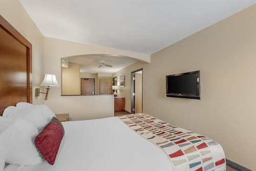 Best Western Alamo Suites, Room
