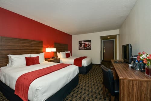 the D Las Vegas, Room