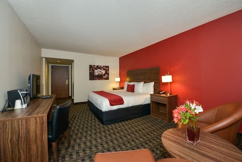 the D Las Vegas, Room