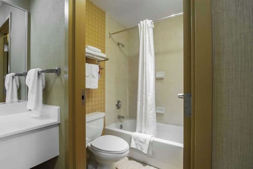 Econo Lodge Inn & Suites University, Room