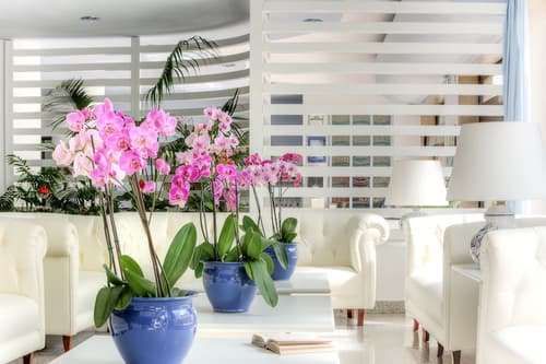 Hotel Caravel, Lobby lounge