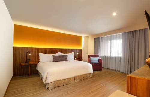 Camino Real Aeropuerto Mexico, Room