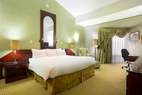 Radisson San Jose-Costa Rica, Room