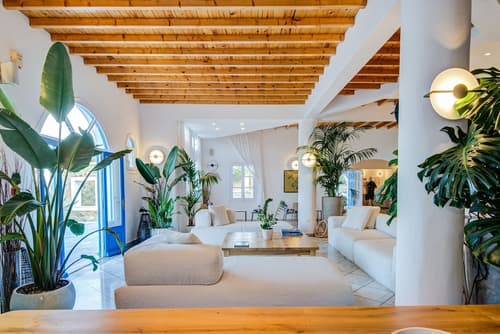 San Antonio Summerland, Reception