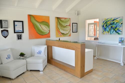 Blue JackTar, Reception