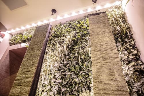 Al Manthia Hotel - Trevi Hotels Group, Reception