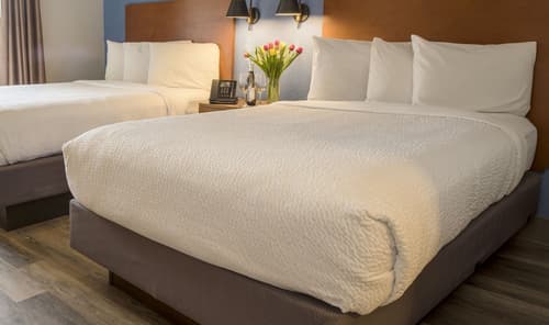 Hotel Focus SFO, Room