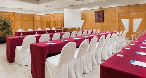 NH Ciudad Real, Meeting facility