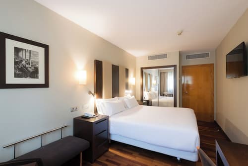 Hotel Ciudad de Valladolid, Room