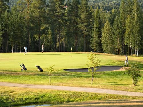 Original Sokos Hotel Vaakuna Rovaniemi, Golf