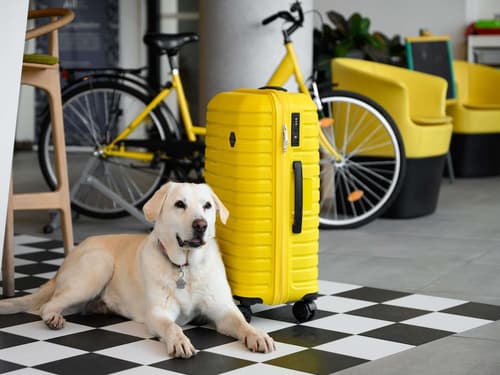 ibis Styles Budapest City, Lobby