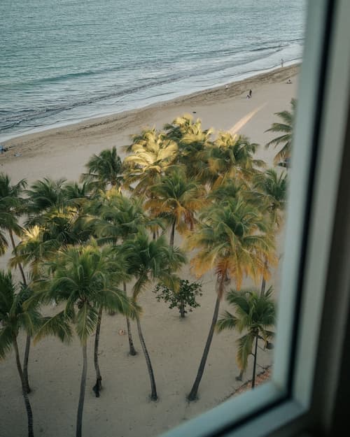 Aire de O:live, Room