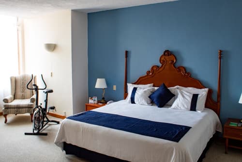 Hotel Misión Guadalajara, Room