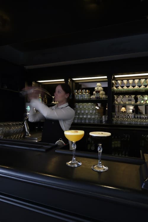 Helnan Phønix Hotel, Bar (on property)