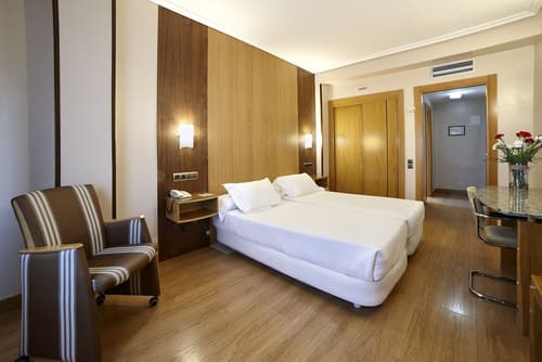 Hotel Zenit Dos Infantas, Room