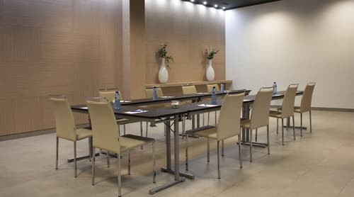 Hotel Port Feria Valencia, Meeting facility