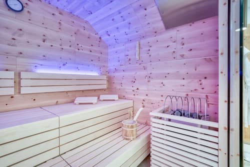 Hotel Leipziger Hof, Sauna